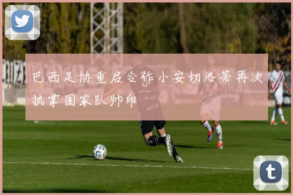 巴西足协重启合作小安切洛蒂再次执掌国家队帅印